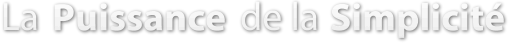 DSSlogan